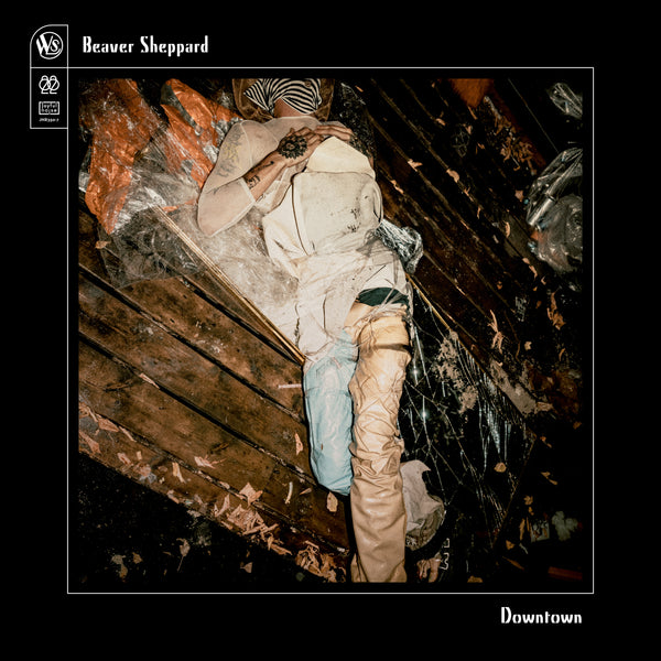 Beaver Sheppard 'Downtown'
