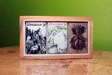 Cassette Trilogy - Dinosaur Jr. - Joyful Noise Recordings - 4