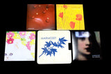 Vinyl Box Set - Marmoset - Joyful Noise Recordings - 3