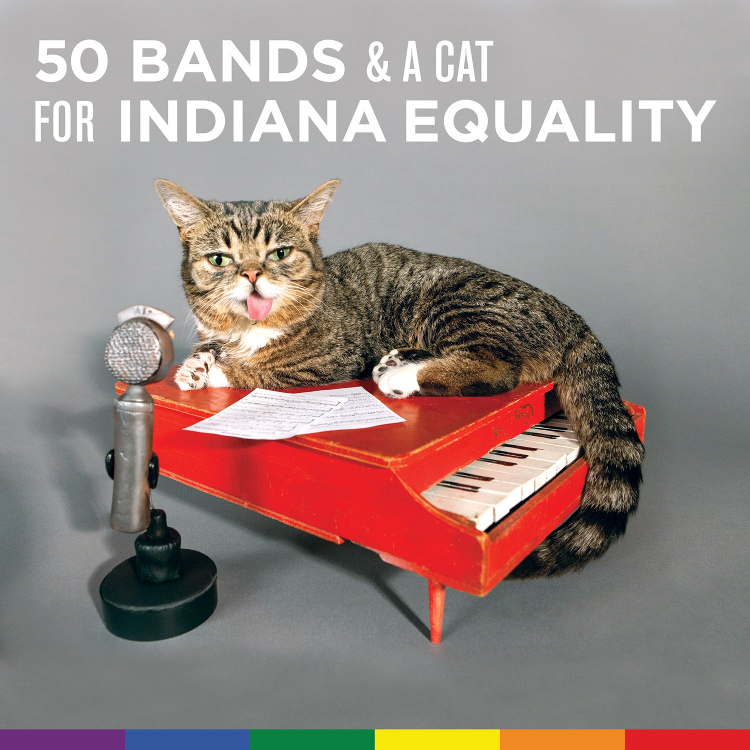 50 Bands & A Cat for Indiana Equality - Various Artists - Joyful Noise Recordings - 2