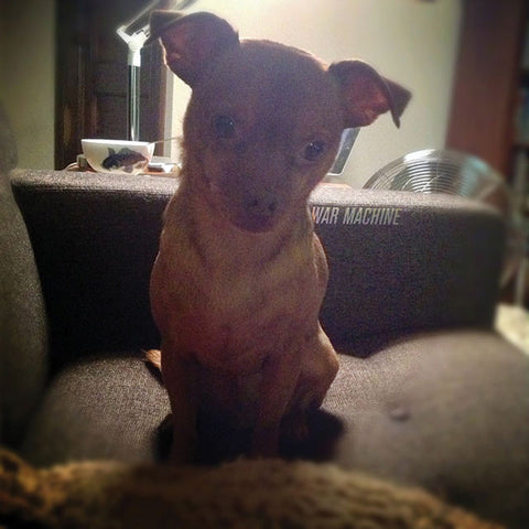 War Machine - DM Stith - Joyful Noise Recordings