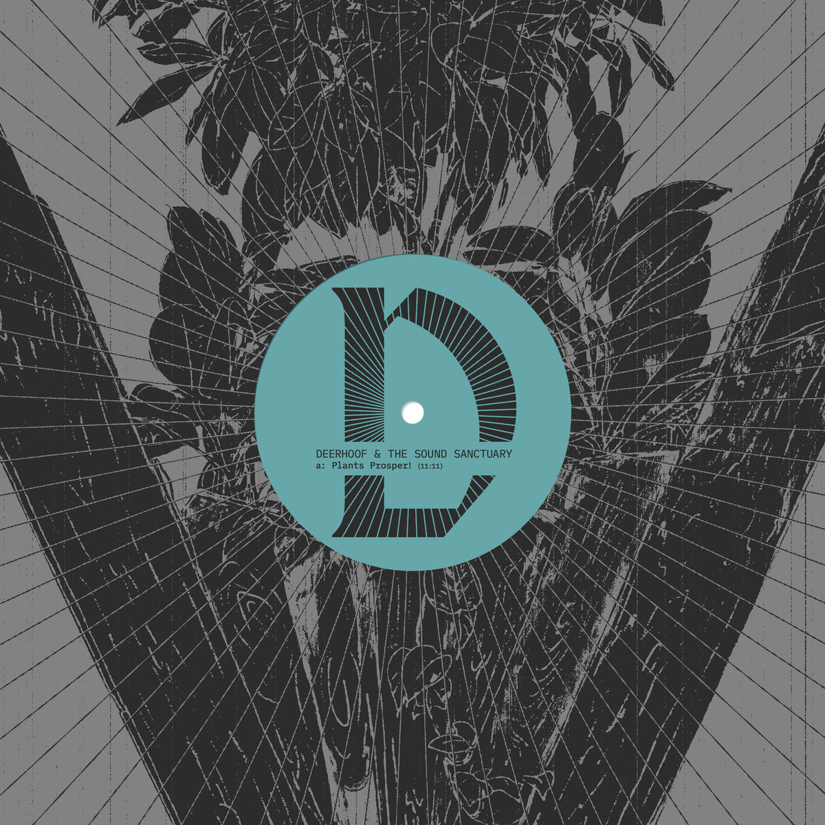 Deerhoof & The Sound Sanctuary | Joyful Noise Recordings | Joyful
