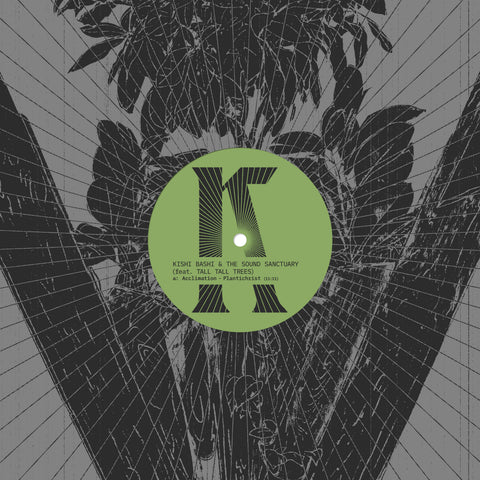 Kishi Bashi & The Sound Sanctuary (feat. Tall Tall Trees)