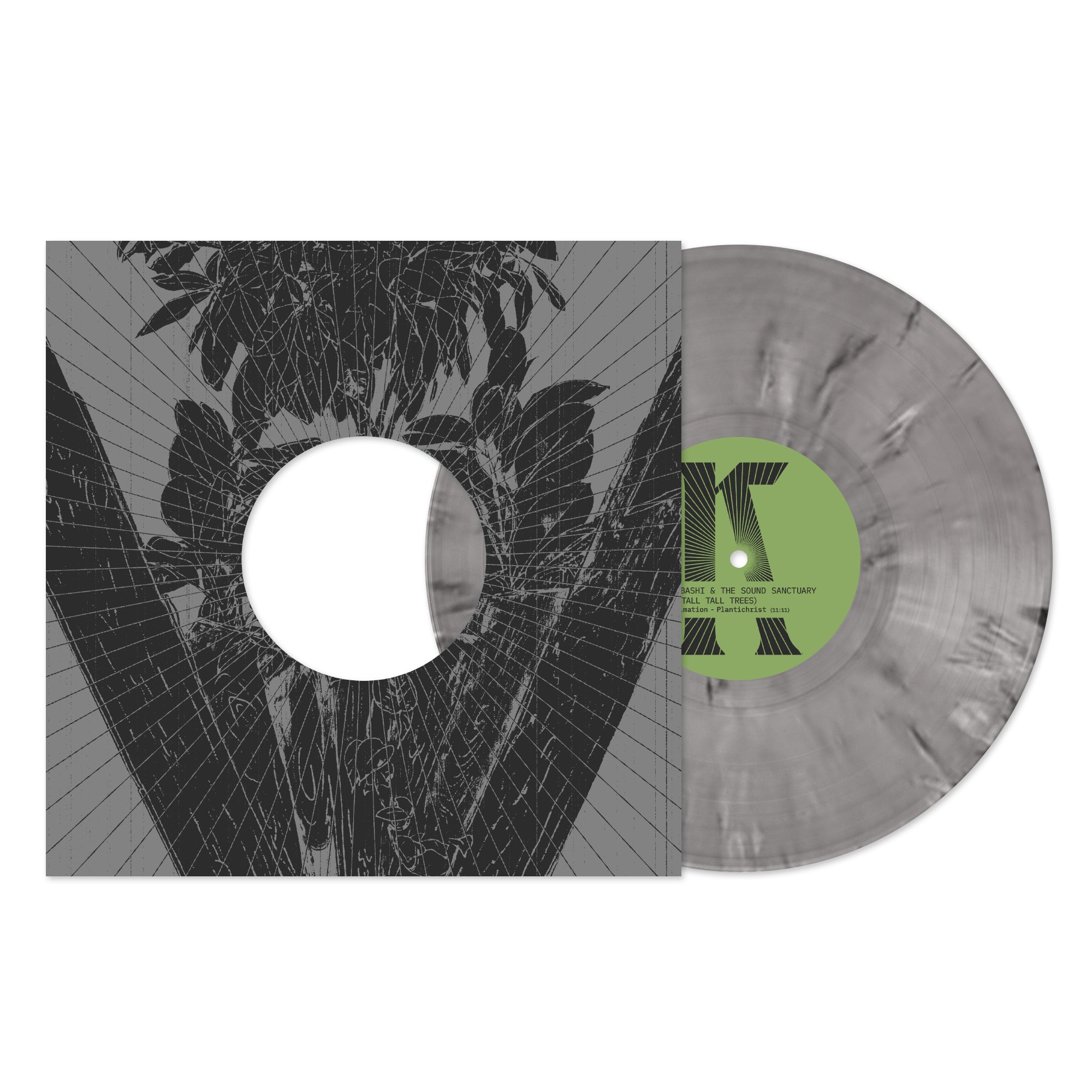 Kishi Bashi & The Sound Sanctuary (feat. Tall Tall Trees)