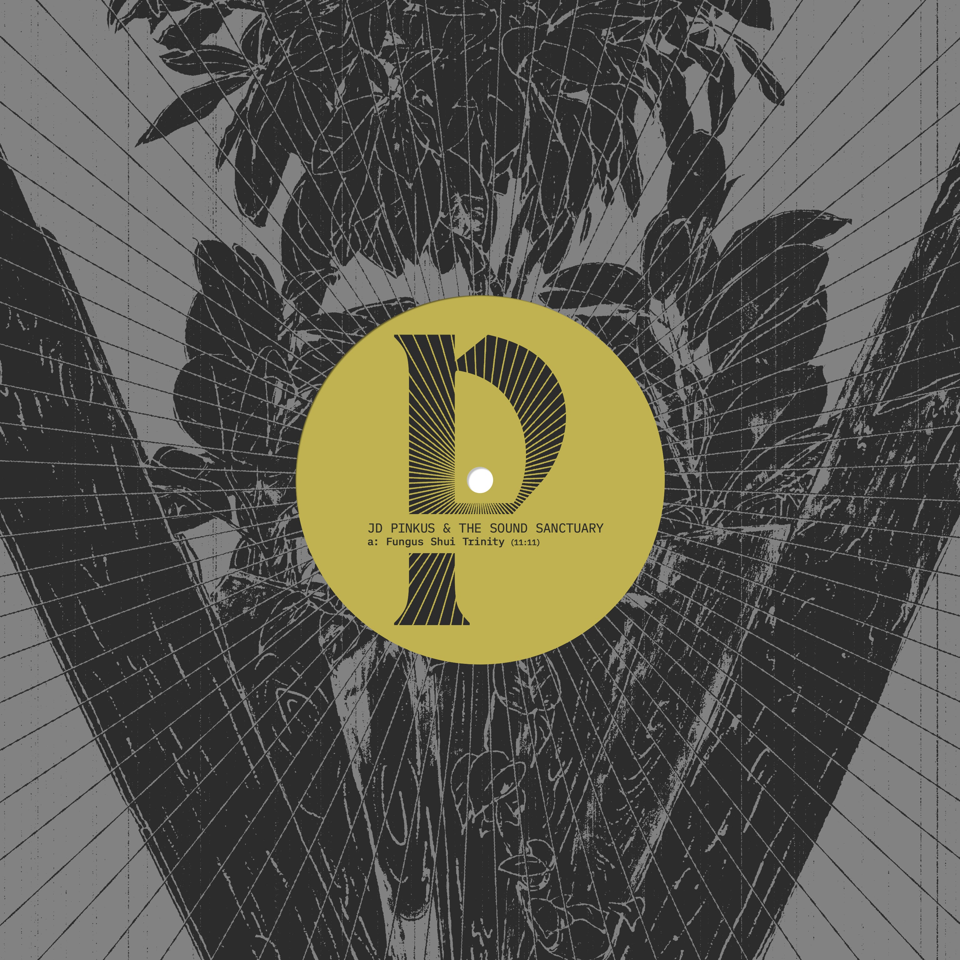 JD Pinkus & The Sound Sanctuary