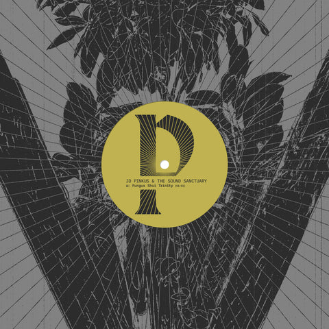 JD Pinkus & The Sound Sanctuary