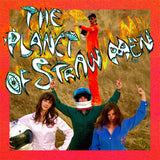 The Planet Of Straw Men