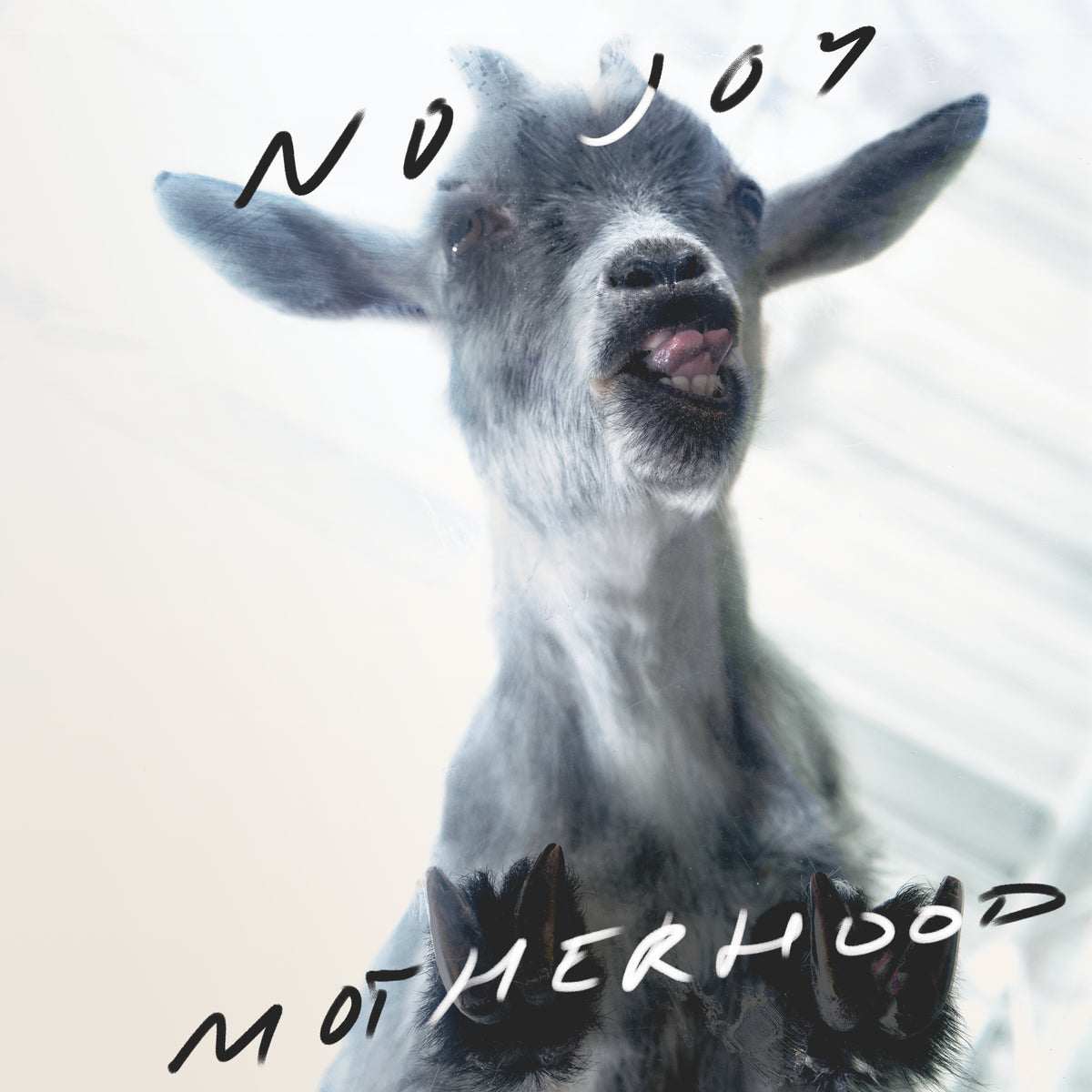 www.joyfulnoiserecordings.com