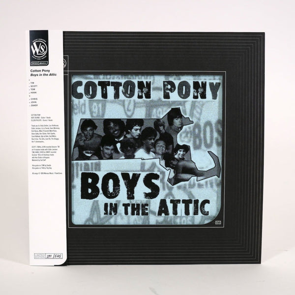 Cotton Pony 'Boys in the Attic' - curated by David Yow