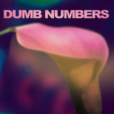 Dumb Numbers - Dumb Numbers - Joyful Noise Recordings - 1