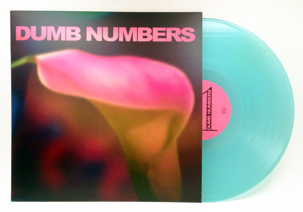 Dumb Numbers - Dumb Numbers - Joyful Noise Recordings - 2