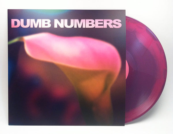 Dumb Numbers - Dumb Numbers - Joyful Noise Recordings - 3
