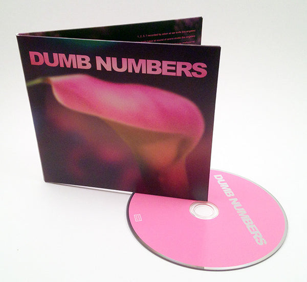 Dumb Numbers - Dumb Numbers - Joyful Noise Recordings - 4