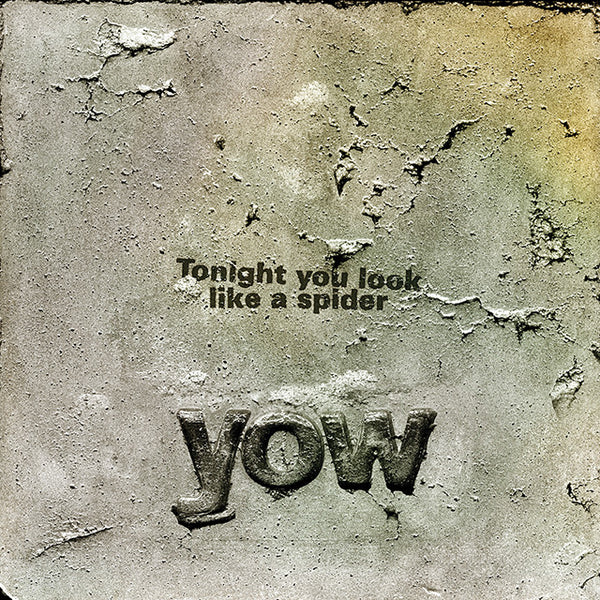 Tonight You Look Like A Spider - David Yow - Joyful Noise Recordings - 1