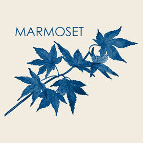 Vinyl Box Set - Marmoset - Joyful Noise Recordings - 1