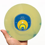 In Through The Eyelids / Delusional - Reptar - Joyful Noise Recordings - 3