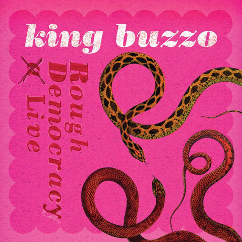 Rough Democracy Live - King Buzzo - Joyful Noise Recordings
