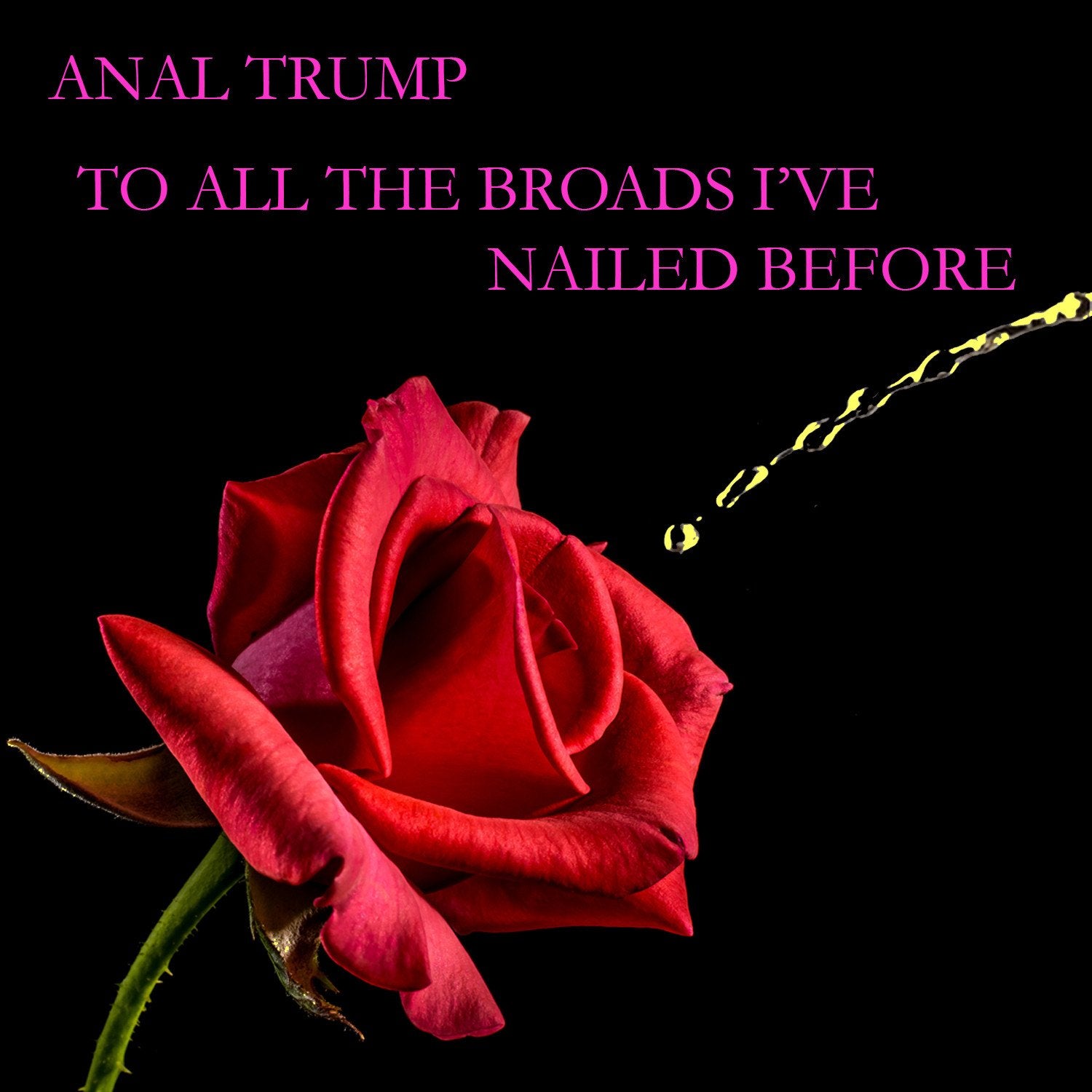 Anal Trump - To All The Broads I've Nailed Before