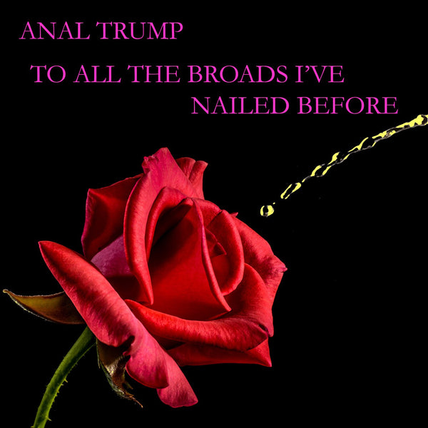 Anal Trump - To All The Broads I've Nailed Before